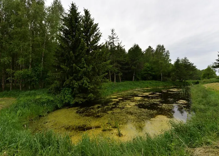 Agrodomek Nad Stawem