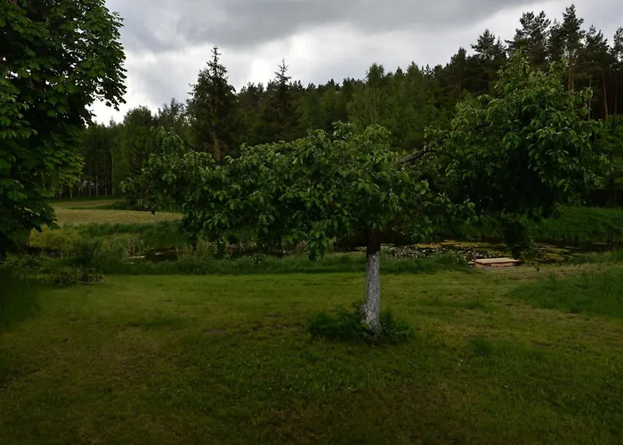 Agrodomek Nad Stawem