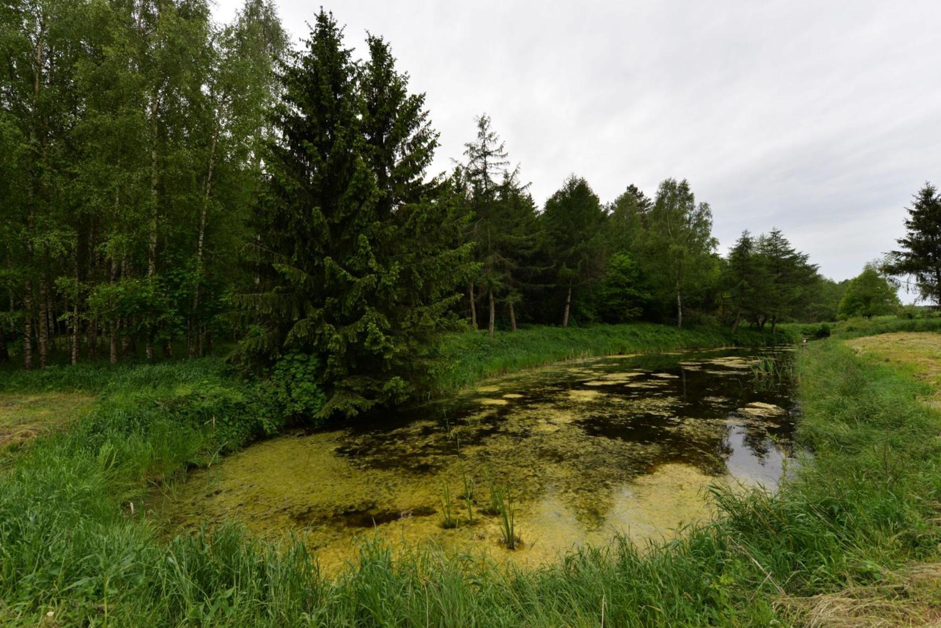 Agrodomek Nad Stawem * Stregielek