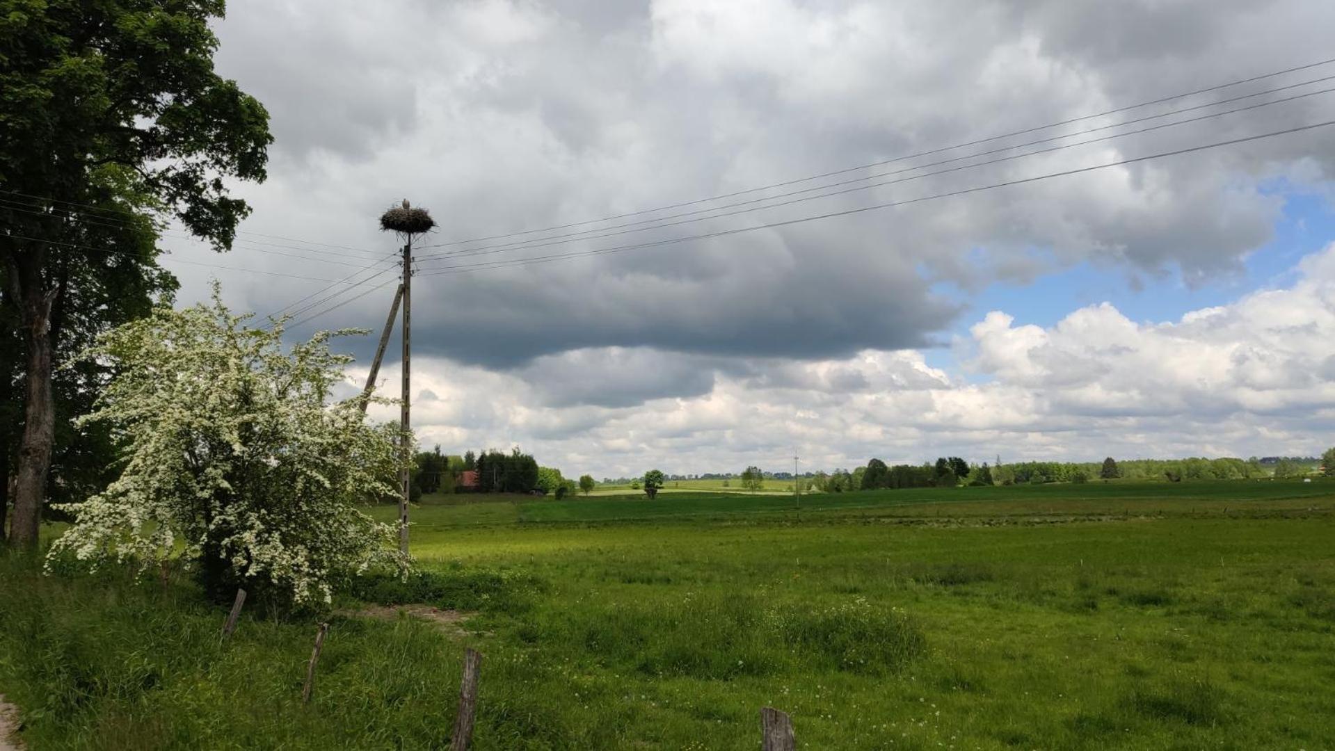 Agrodomek Nad Stawem * Stregielek