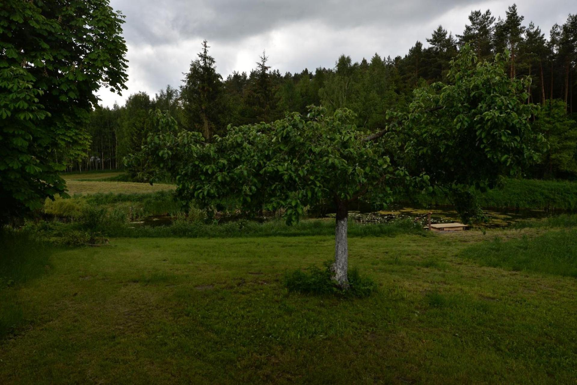 Agrodomek Nad Stawem Holiday home