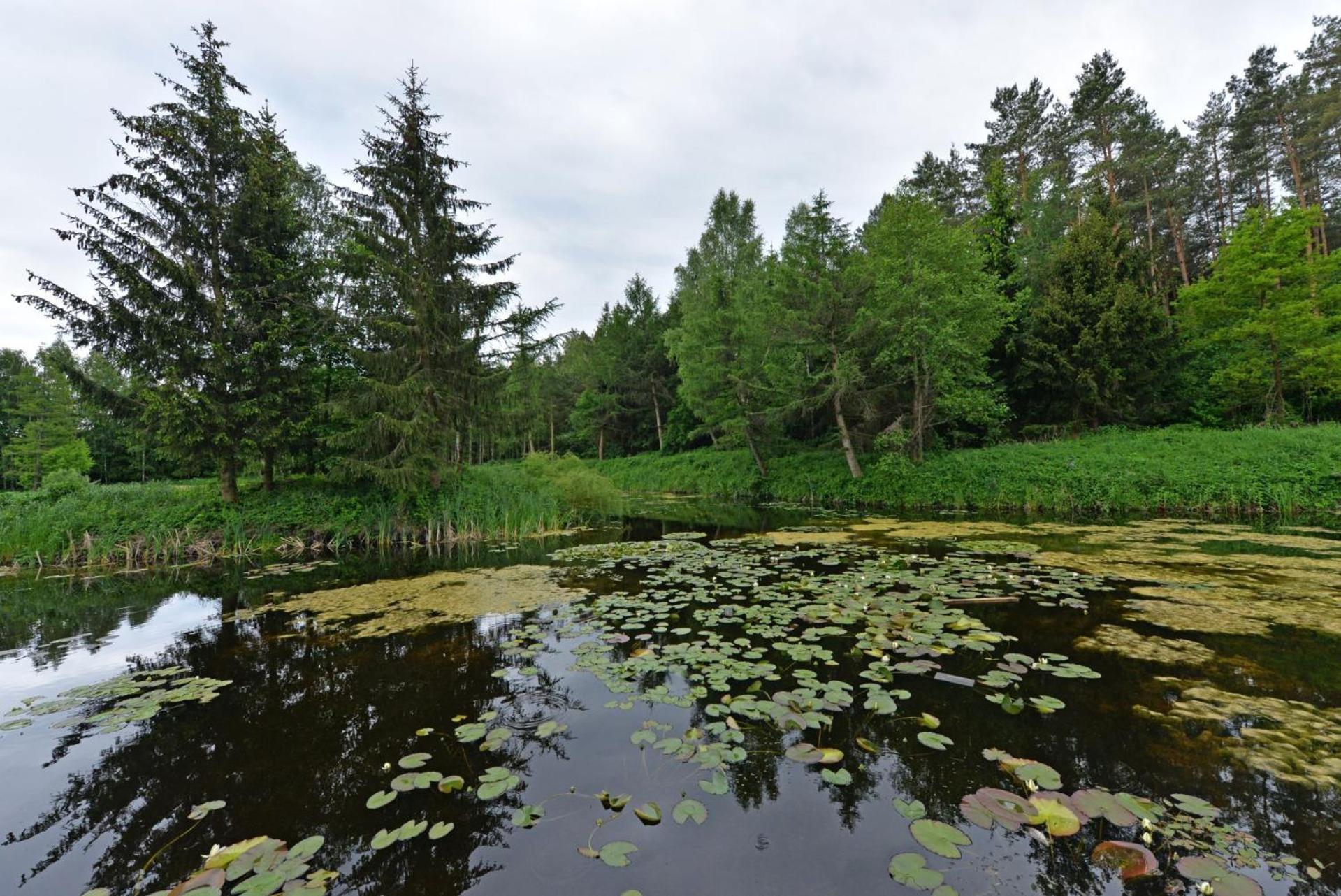 Agrodomek Nad Stawem Holiday home